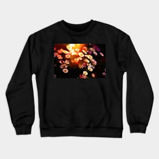 Colors 206 Crewneck Sweatshirt